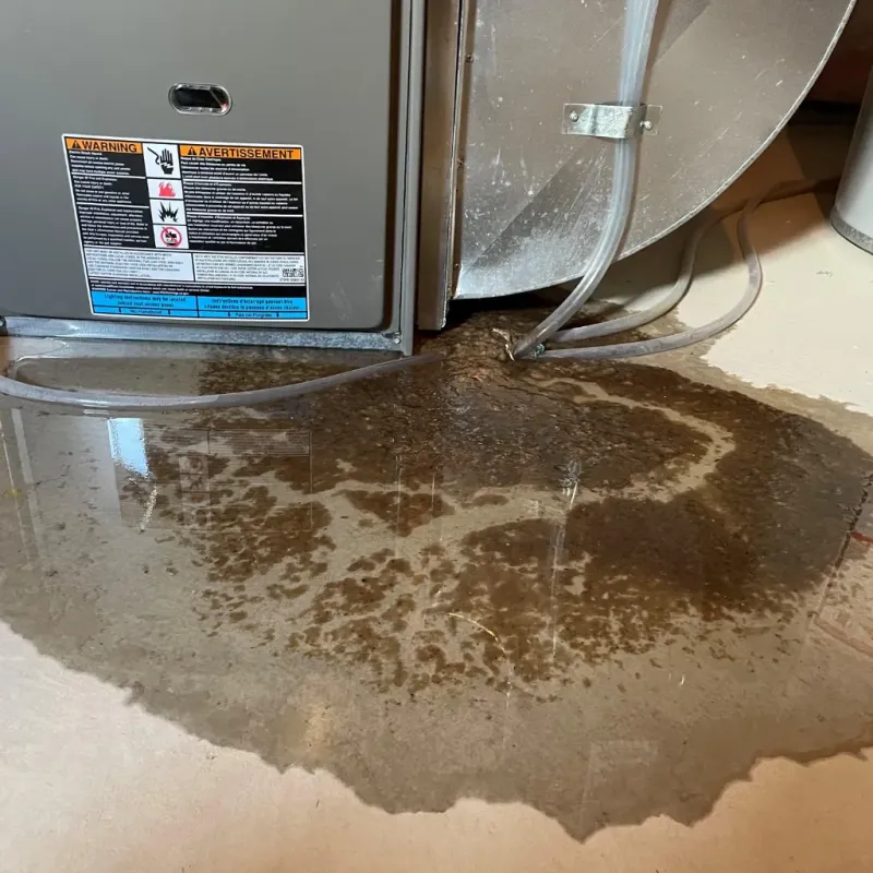 Appliance Leak Cleanup in Knox County, OH